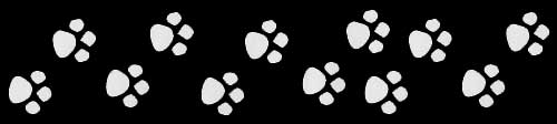 pawprints decal